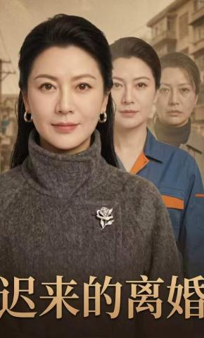 短剧《迟来的离婚》海报