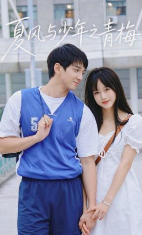 短剧《夏风与少年之青梅》海报