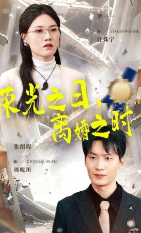 短剧《荣光之日，离婚之时》海报