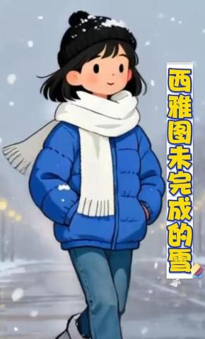 短剧《西雅图未完成的雪》海报