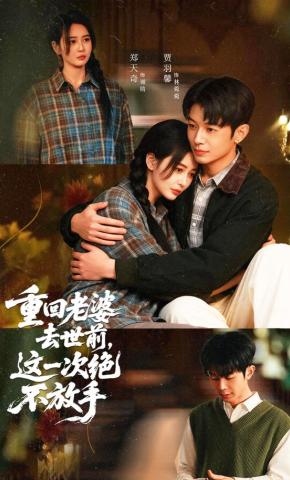 短剧《重回老婆去世前，这一次绝不放手》海报