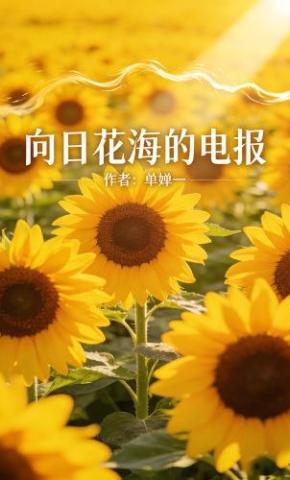 短剧《向阳花海的电报》海报