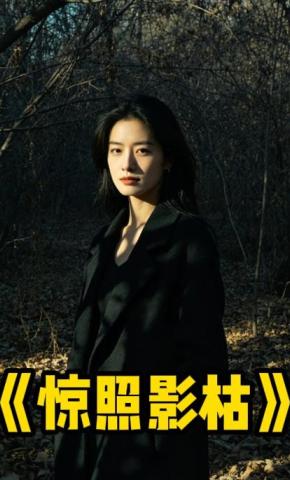 短剧《惊照影枯》海报