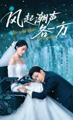 短剧《风起潮声各一方》海报