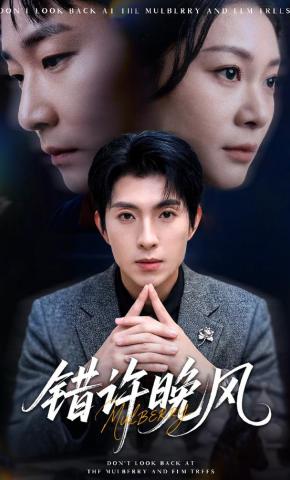 短剧《错许晚风》海报