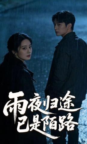 短剧《雨夜归途已是陌路》海报