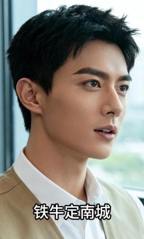 短剧《铁牛定南城》海报