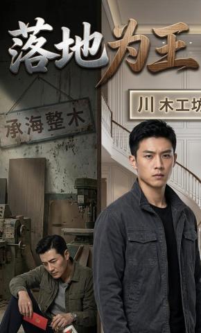 短剧《落地为王》海报
