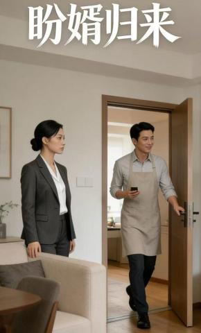 短剧《盼婿归来》海报