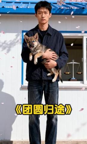 短剧《团圆归途》海报