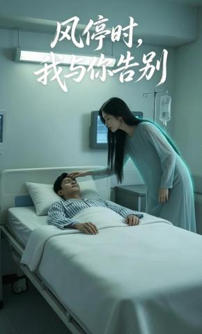 短剧《风停时，我与你告别》海报