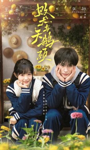 短剧《败犬与天鹅颈》海报