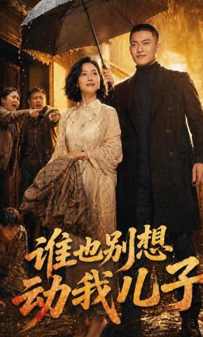 短剧《谁也别想动我儿子》海报