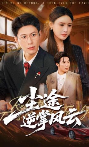 短剧《尘途逆掌风云》海报