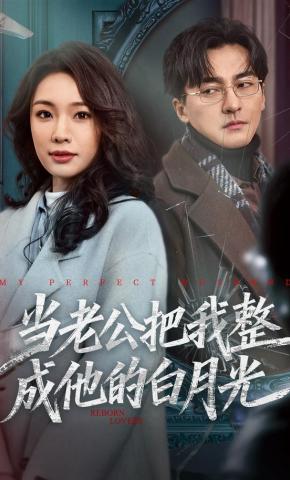 短剧《当老公把我整成他的白月光》海报