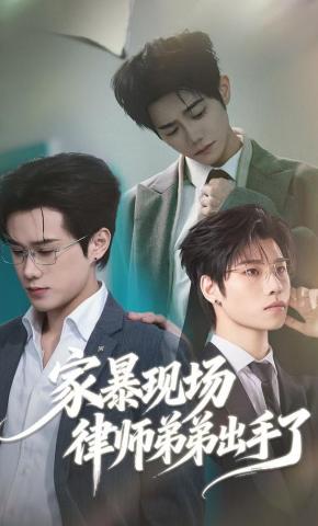 短剧《家暴现场律师弟弟出手了》海报