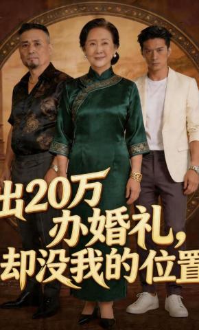 短剧《出20万办婚礼，却没我的位置》海报
