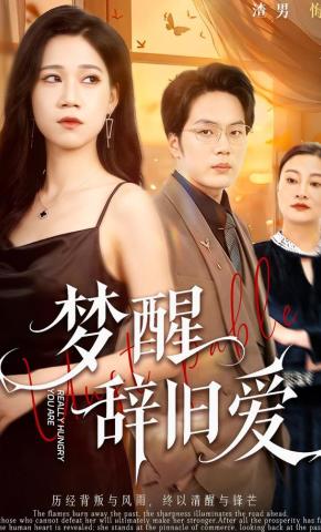 短剧《梦醒辞旧爱》海报