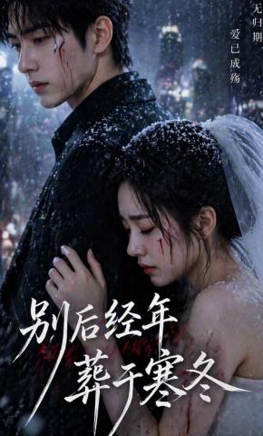短剧《别后经年，葬于寒冬》海报