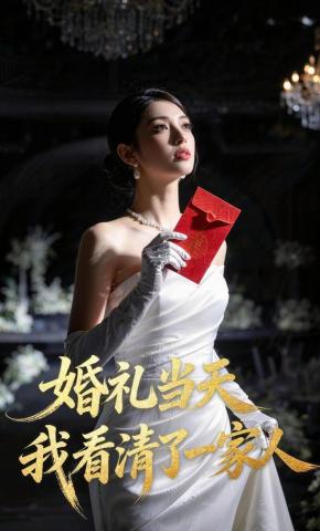 短剧《婚礼当天我看清了一家人》海报