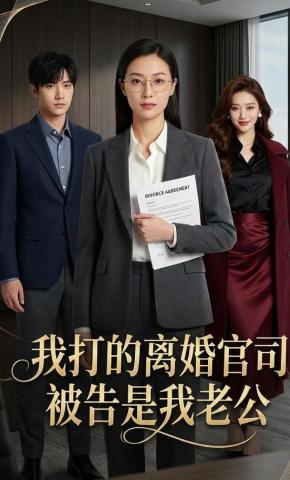 短剧《我打的离婚官司被告是我老公》海报