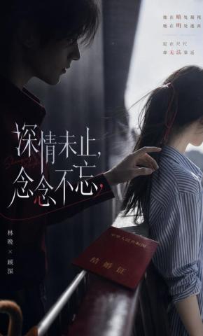 短剧《深情未止，念念不忘》海报