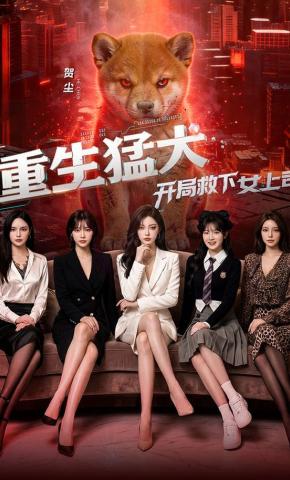 短剧《重生猛犬：开局救下女上司》海报