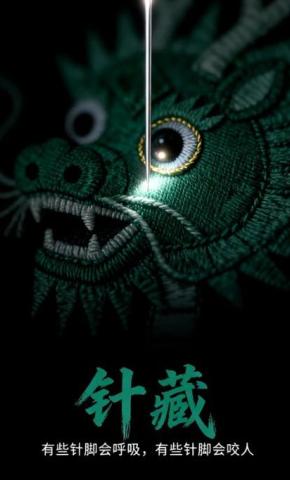 短剧《针藏》海报