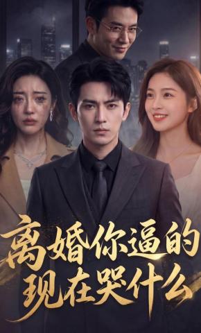 短剧《离婚你逼的，现在哭什么》海报