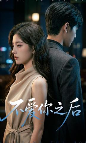 短剧《不爱你之后》海报