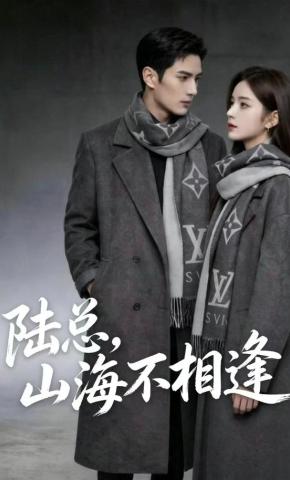 短剧《陆总，山海不相逢》海报