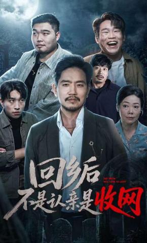 短剧《回乡后不是认亲是收网》海报