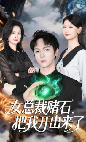 短剧《女总裁赌石，把我开出来了》海报