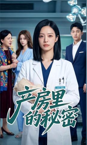 短剧《产房里的秘密》海报