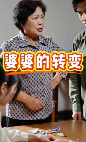 短剧《婆婆的转变》海报