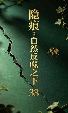 短剧《隐痕：自然反噬之下33》海报