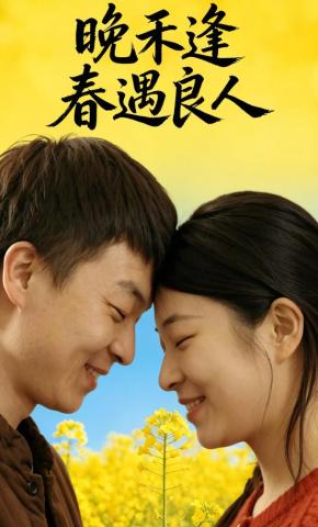 短剧《晚禾逢春遇良人》海报
