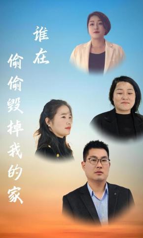 短剧《谁在偷偷毁掉我的家》海报
