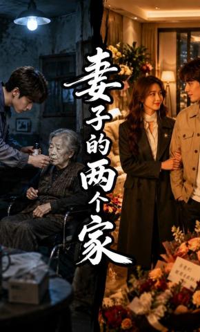 短剧《妻子的两个家》海报
