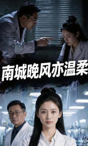 短剧《南城晚风亦温柔》海报