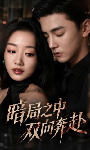 短剧《暗局之中双向奔赴》海报