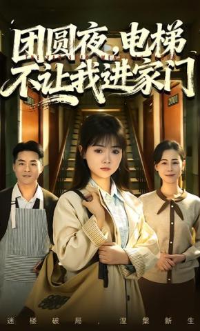短剧《团圆夜，电梯不让我进家门》海报