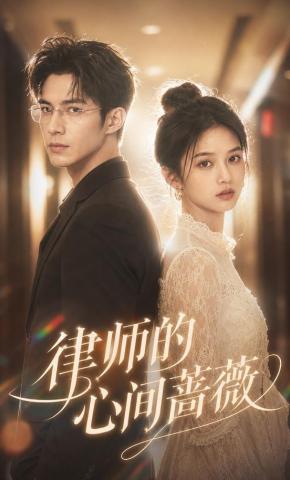 短剧《律师的心间蔷薇》海报