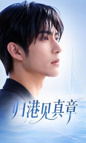 短剧《归港见真章》海报
