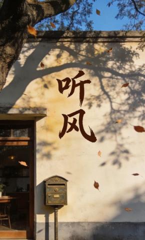 短剧《听风》海报