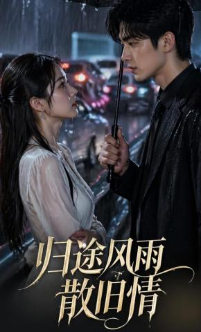 短剧《归途风雨散旧情》海报
