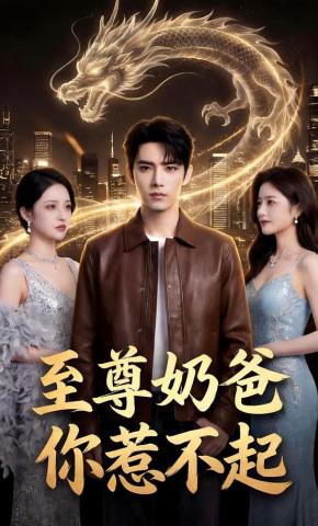 短剧《至尊奶爸你惹不起》海报
