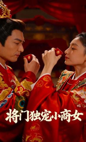 短剧《将门独宠小商女》海报