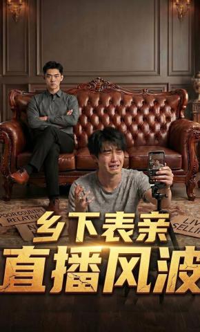 短剧《乡下表亲直播风波》海报
