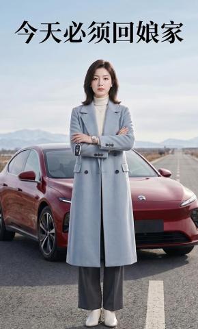 短剧《今天必须回娘家》海报